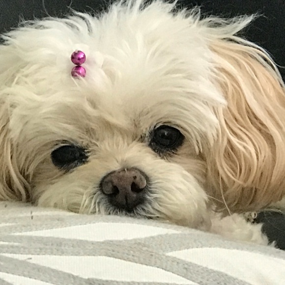 Meet your Posher, Fonda - Picture 3 of 4